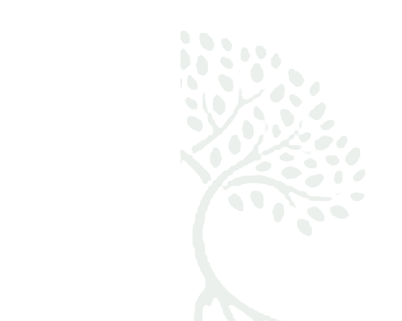 Silhouette of a tree with leafy branches.